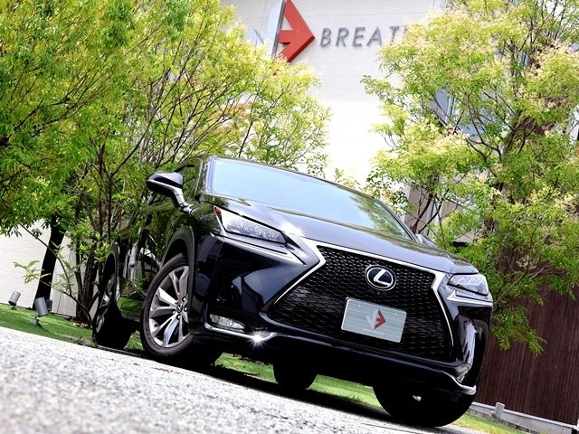 LEXUS NX200t