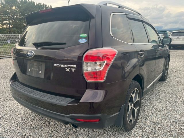 FORESTER