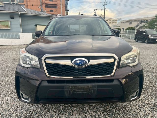 FORESTER