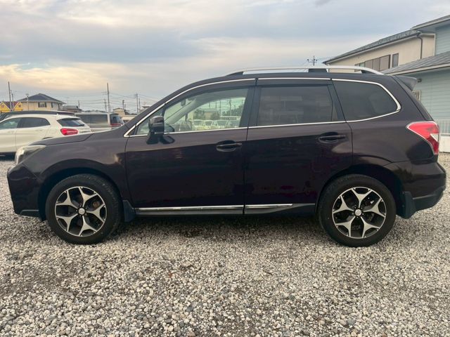 FORESTER
