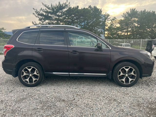 FORESTER