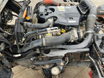 ELF
