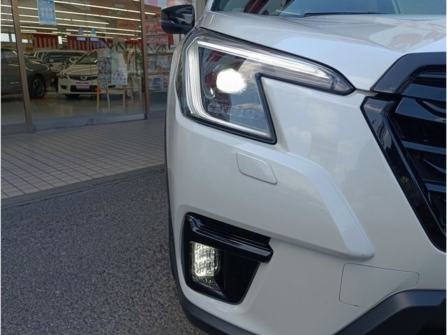 FORESTER