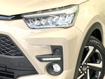 RAIZE HYBRID