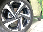 RAIZE HYBRID