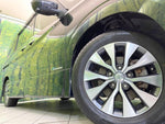 SERENA  S-HYBRID