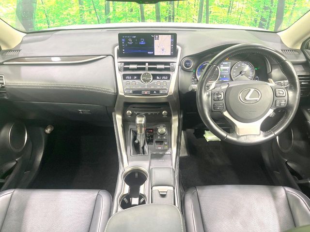 LEXUS NX300h