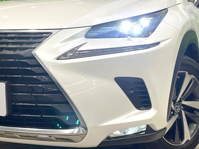 LEXUS NX300h