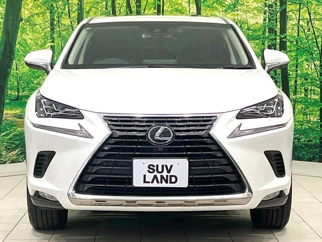LEXUS NX300h