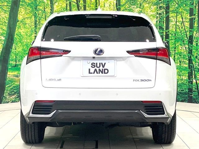 LEXUS NX300h