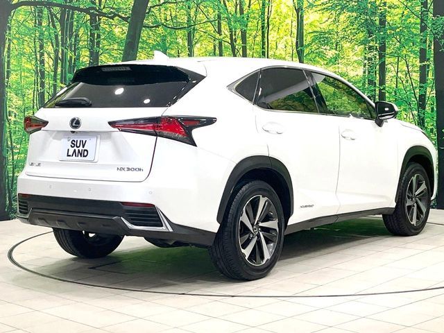 LEXUS NX300h