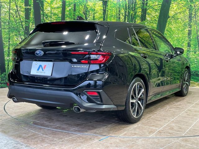 LEVORG