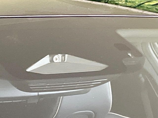 CROWN SPORT