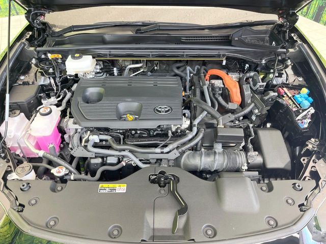 CROWN SPORT