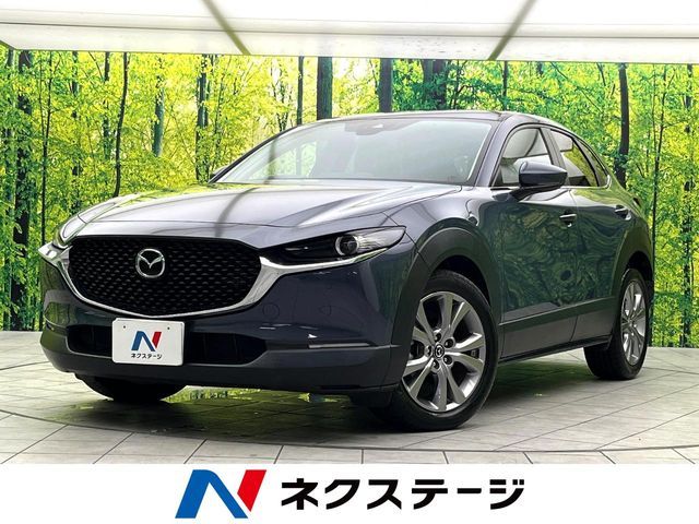 CX-30