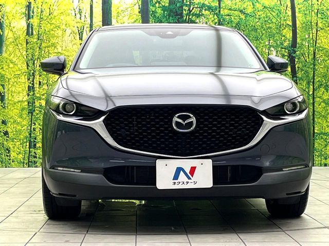 CX-30