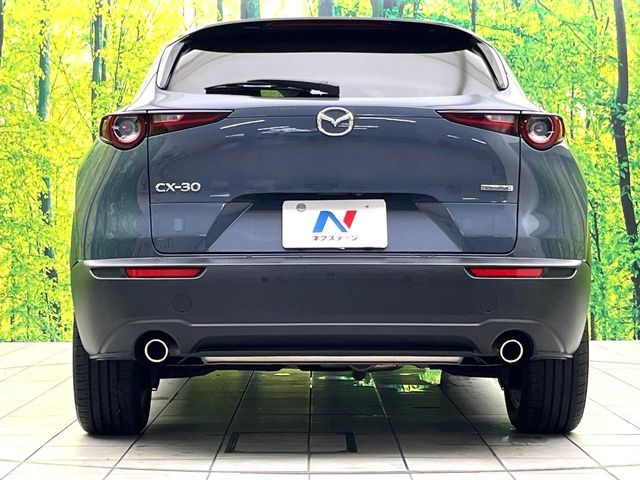 CX-30