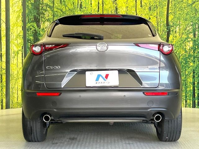CX-30