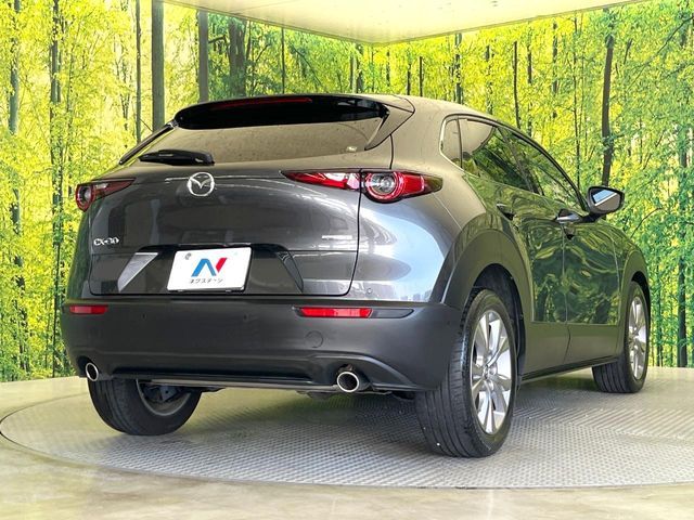 CX-30