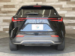 LEXUS NX350h AWD