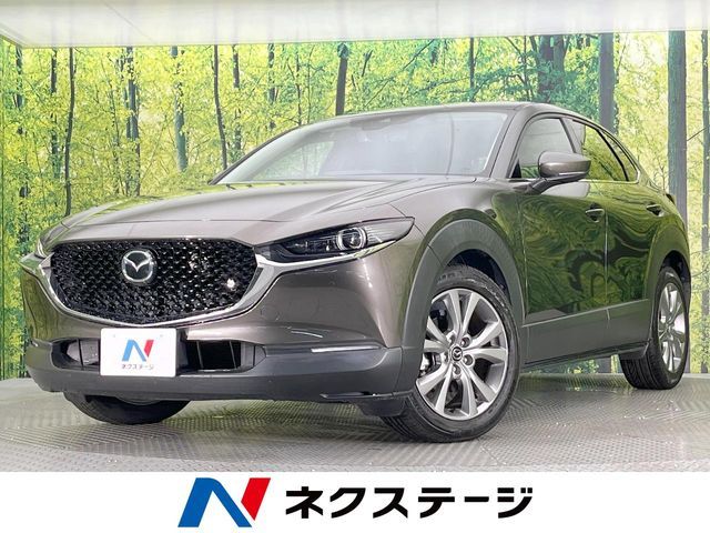 CX-30