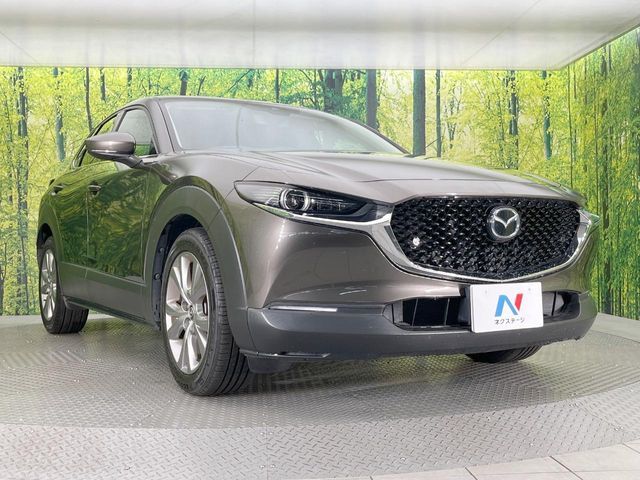 CX-30