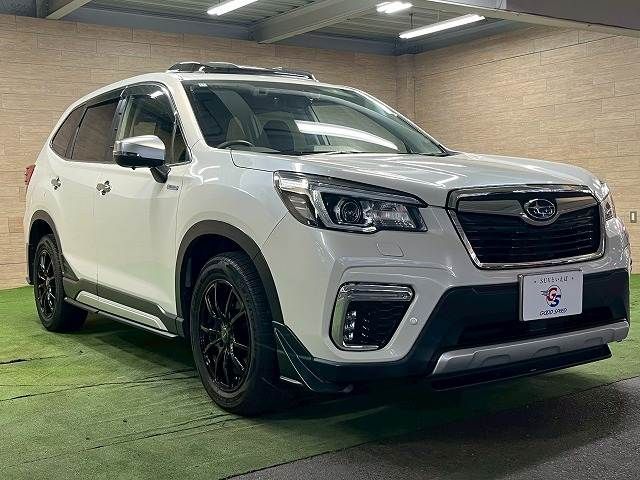 FORESTER