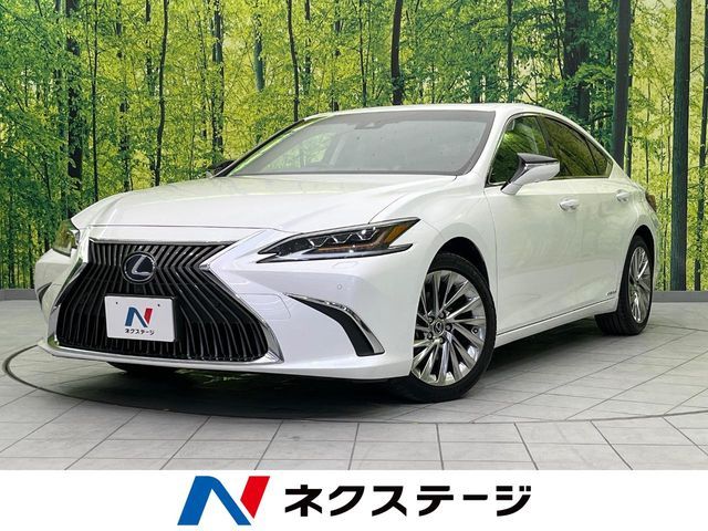 LEXUS ES300h