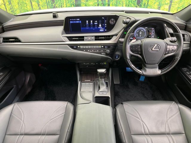 LEXUS ES300h
