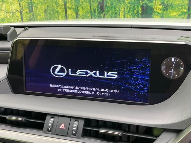 LEXUS ES300h