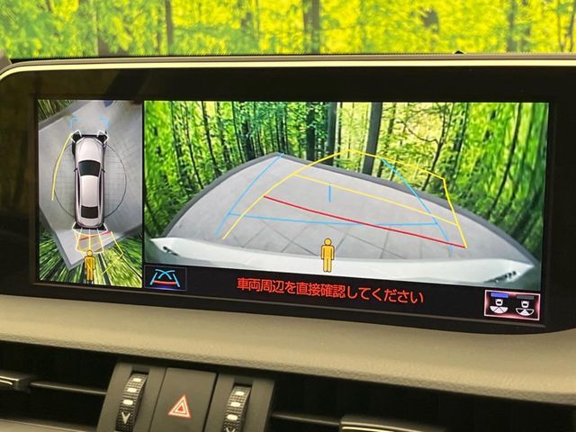LEXUS ES300h
