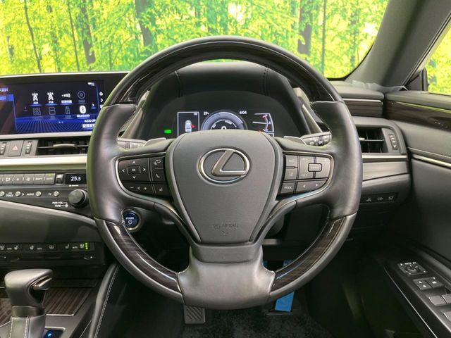LEXUS ES300h