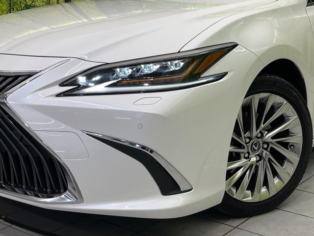 LEXUS ES300h