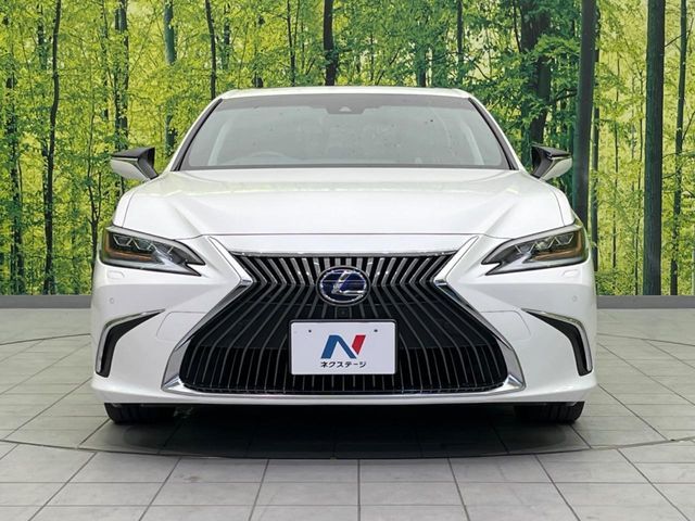 LEXUS ES300h