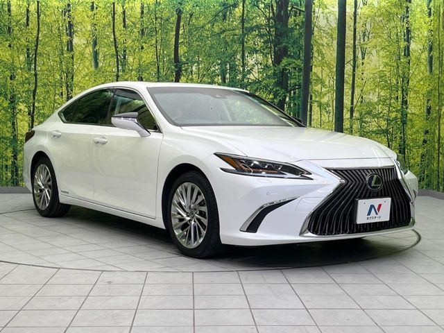 LEXUS ES300h