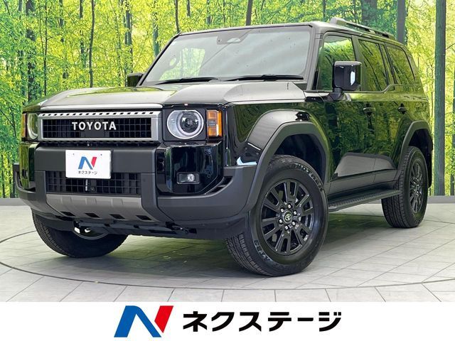 LANDCRUISER 250