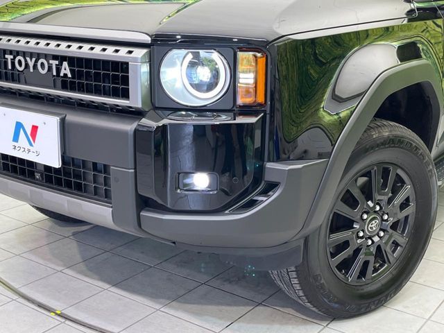 LANDCRUISER 250