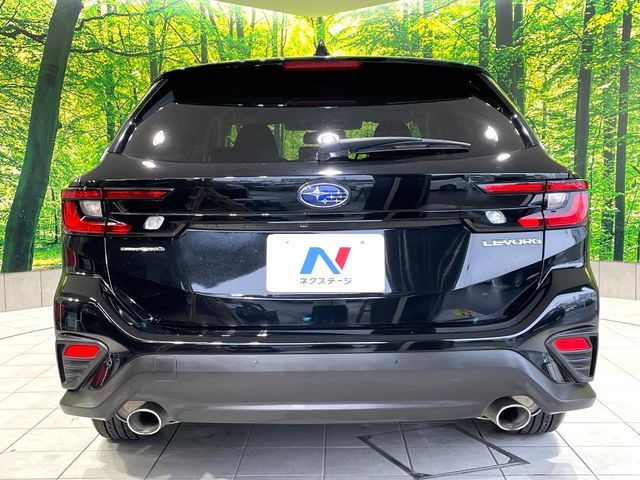 LEVORG