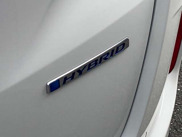 FREED HYBRID