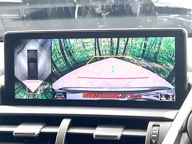 LEXUS NX300h AWD