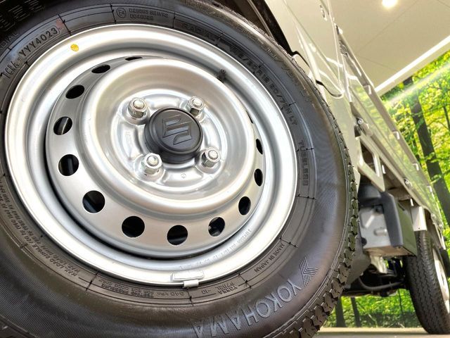 CARRY truck
