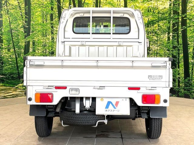 CARRY truck