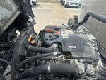 ELF