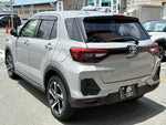 RAIZE HYBRID