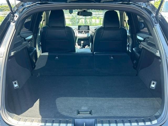 LEXUS NX200t