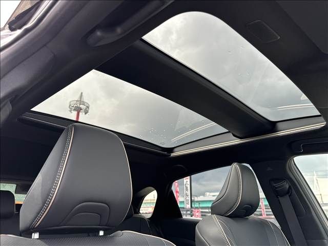 CROWN SPORT