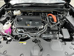 CROWN SPORT