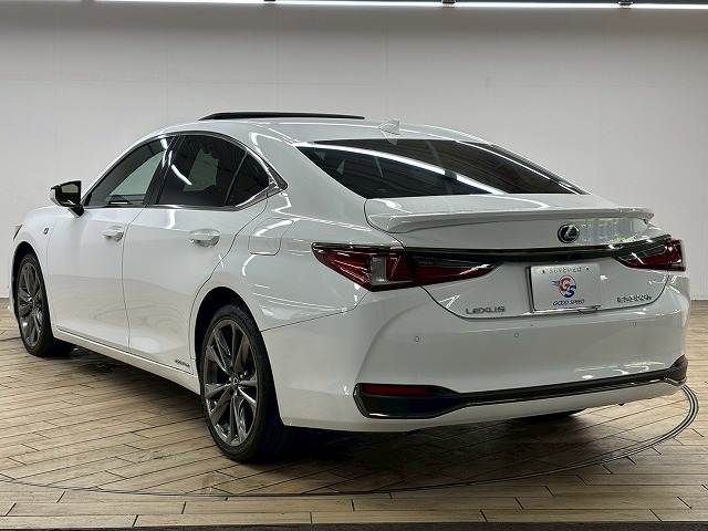 LEXUS ES300h