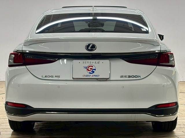 LEXUS ES300h