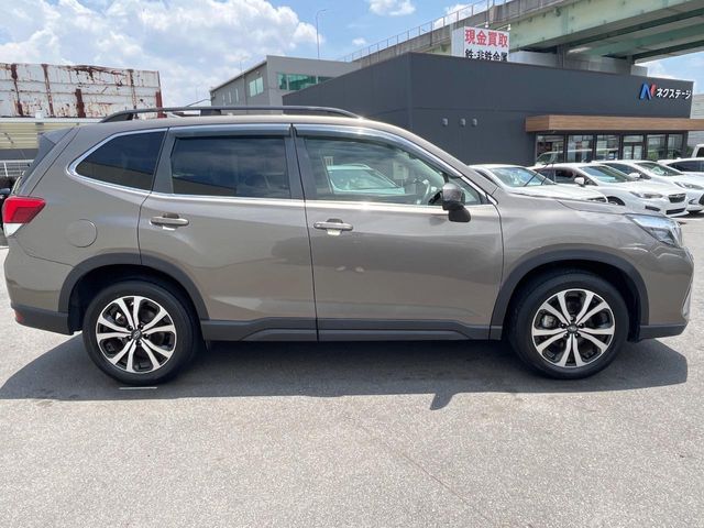 FORESTER